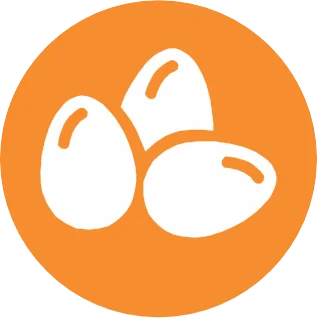 Uova e prodotti a base di uova