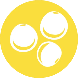 Lupini e prodotti a base di lupini