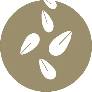 Semi di sesamo e prodotti a base di semi di sesamo